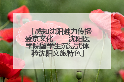 感知沈阳魅力传播盛京文化——沈阳医学院留学生沉浸式体验沈阳文旅特色