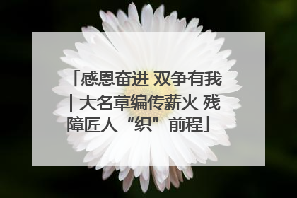 感恩奋进 双争有我｜大名草编传薪火 残障匠人“织”前程