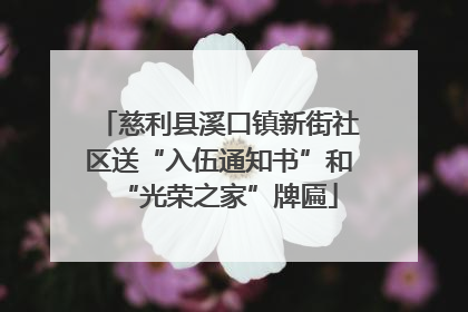 慈利县溪口镇新街社区送“入伍通知书”和“光荣之家”牌匾