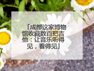 成都这家博物馆收藏数百把吉他：让音乐听得见，看得见