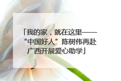 我的家，就在这里——“中国好人”陈树伟再赴广西开展爱心助学
