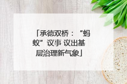 承德双桥：“蚂蚁”议事 议出基层治理新气象