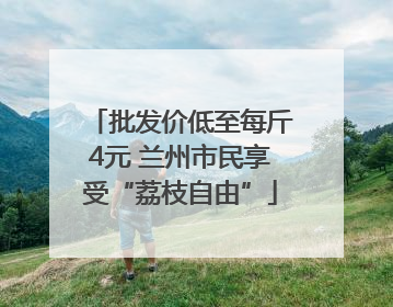 批发价低至每斤4元 兰州市民享受“荔枝自由”