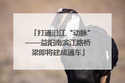 打通沿江“动脉”——益阳南滨江路桥梁即将建成通车