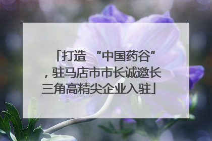 打造 “中国药谷”，驻马店市市长诚邀长三角高精尖企业入驻