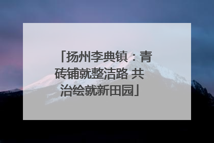 扬州李典镇：青砖铺就整洁路 共治绘就新田园