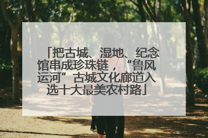 把古城、湿地、纪念馆串成珍珠链，“鲁风运河”古城文化廊道入选十大最美农村路