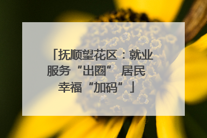 抚顺望花区：就业服务“出圈” 居民幸福“加码”