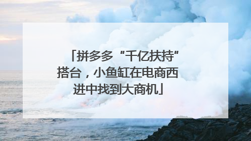 拼多多“千亿扶持”搭台，小鱼缸在电商西进中找到大商机