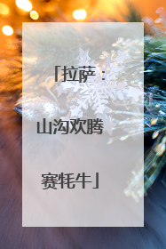 拉萨：山沟欢腾赛牦牛