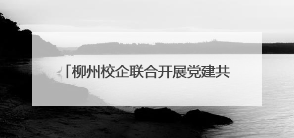 柳州校企联合开展党建共建 助力汽车产业升级