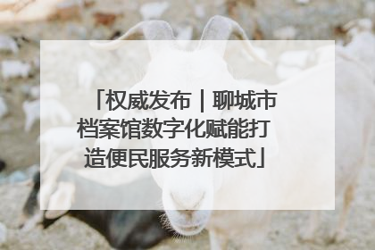权威发布｜聊城市档案馆数字化赋能打造便民服务新模式