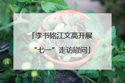 李书铭江文高开展“七一”走访慰问