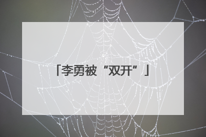 李勇被“双开”