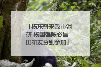 杨东奇来我市调研 杨国强陈必昌田和友分别参加