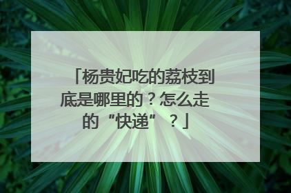 杨贵妃吃的荔枝到底是哪里的？怎么走的“快递”？
