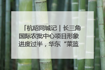 杭绍同城记｜长三角国际农批中心项目形象进度过半，华东“菜篮子”建设加码提速！