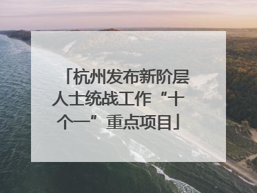 杭州发布新阶层人士统战工作“十个一”重点项目
