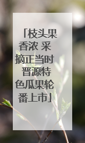 枝头果香浓 采摘正当时 晋源特色瓜果轮番上市