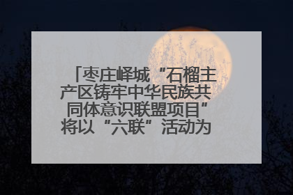 枣庄峄城“石榴主产区铸牢中华民族共同体意识联盟项目”将以“六联”活动为抓手深化品牌建设