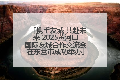 携手友城 共赴未来 2025黄河口国际友城合作交流会在东营市成功举办