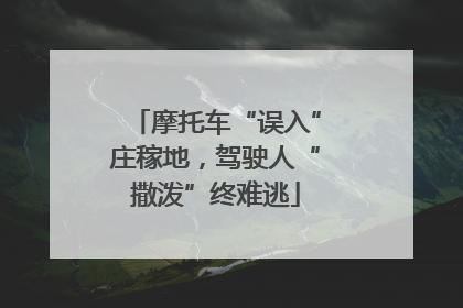 摩托车“误入”庄稼地，驾驶人“撒泼”终难逃