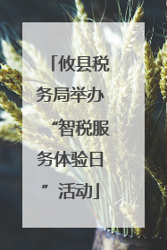 攸县税务局举办“智税服务体验日”活动