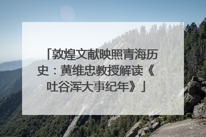 敦煌文献映照青海历史：黄维忠教授解读《吐谷浑大事纪年》