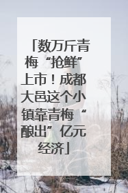数万斤青梅“抢鲜”上市！成都大邑这个小镇靠青梅“酿出”亿元经济