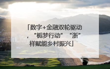 数字+金融双轮驱动，“栀梦行动”“浙”样赋能乡村振兴