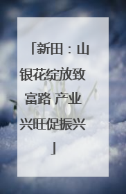 新田：山银花绽放致富路 产业兴旺促振兴