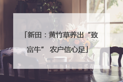 新田：黄竹草养出“致富牛” 农户信心足