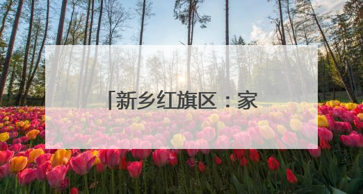 新乡红旗区：家校社协同发力 共商育人成才之道