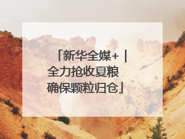 新华全媒+｜全力抢收夏粮 确保颗粒归仓