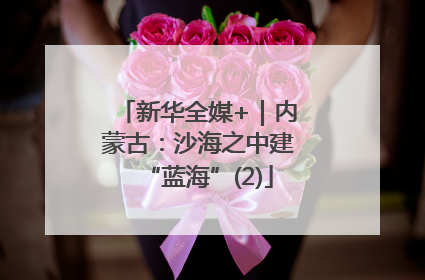 新华全媒+｜内蒙古：沙海之中建“蓝海”(2)