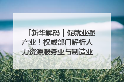 新华解码｜促就业强产业！权威部门解析人力资源服务业与制造业融合发展试点