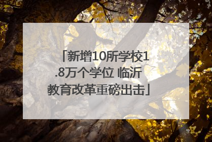 新增10所学校1.8万个学位 临沂教育改革重磅出击