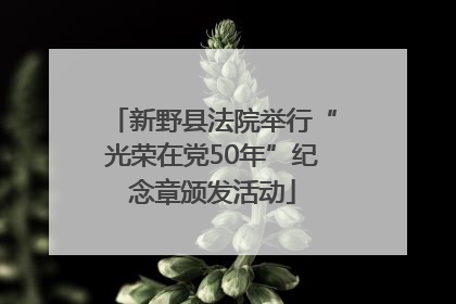 新野县法院举行“光荣在党50年”纪念章颁发活动