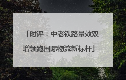 时评：中老铁路量效双增领跑国际物流新标杆