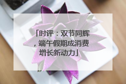 时评：双节同辉，端午假期成消费增长新动力