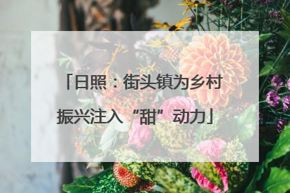 日照：街头镇为乡村振兴注入“甜”动力