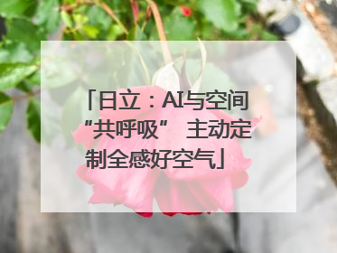 日立：AI与空间“共呼吸” 主动定制全感好空气
