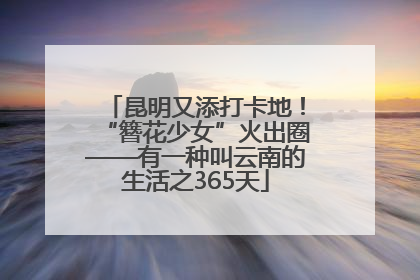 昆明又添打卡地！“簪花少女”火出圈——有一种叫云南的生活之365天