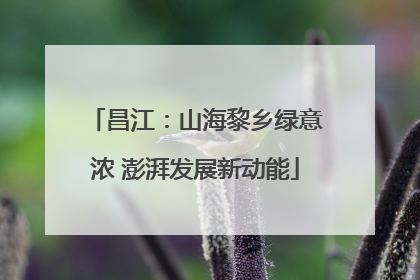 昌江：山海黎乡绿意浓 澎湃发展新动能