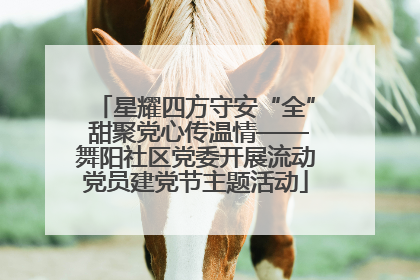 星耀四方守安“全” 甜聚党心传温情——舞阳社区党委开展流动党员建党节主题活动