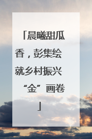 晨曦甜瓜香，彭集绘就乡村振兴“金”画卷