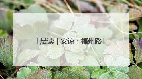 晨读｜安谅：福州路