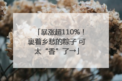 暴涨超110%！裹着乡愁的粽子 可太“香”了→