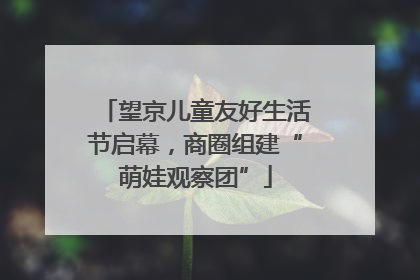 望京儿童友好生活节启幕，商圈组建“萌娃观察团”