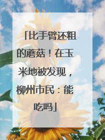 比手臂还粗的蘑菇！在玉米地被发现，柳州市民：能吃吗